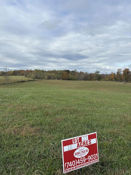 Pine Grove Ch Rd, Vanceburg, KY 41179