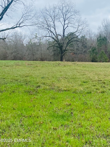 408 North St, Union, MS 39365