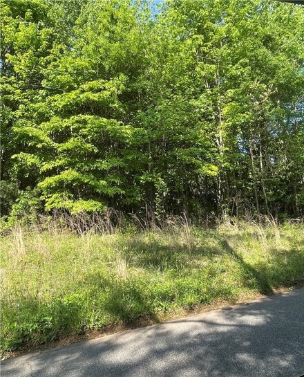 00 Holder St, Pickens, SC 29671