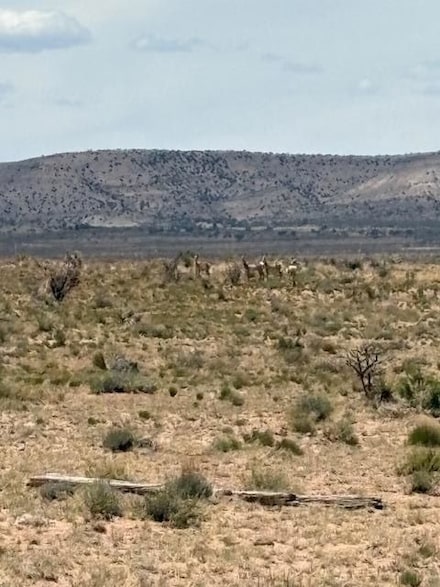 0 Wsmr P Route 7, Bingham, NM 87832