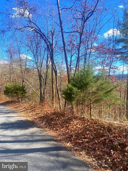 0 Spitz Ln Unit VASH2013020, Basye, VA 22810