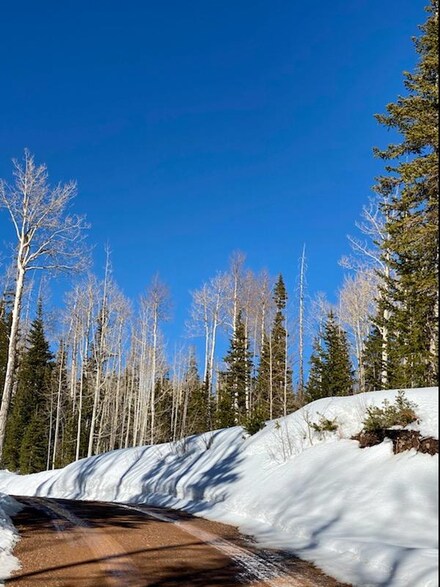 296 E Toboggan Ln Unit B, Brian Head, UT 84719