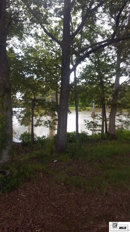 9700 Toledo Rd, Mer Rouge, LA 71261