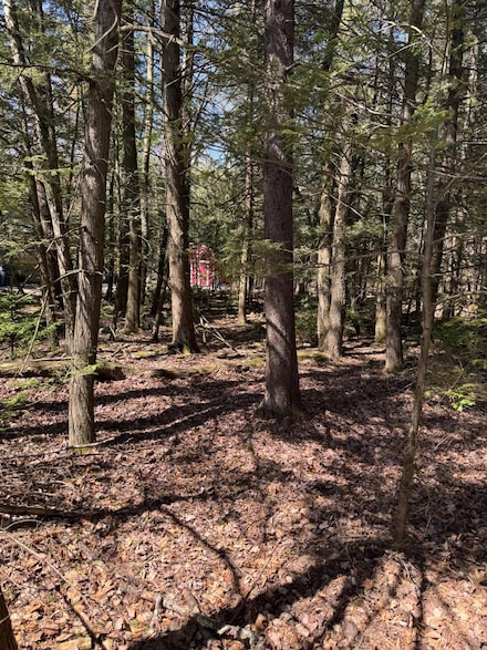 211 Alter Ave, Pocono Summit, PA 18346