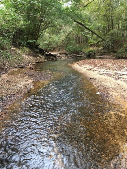 00 Sylvarena Rd, Wesson, MS 39191