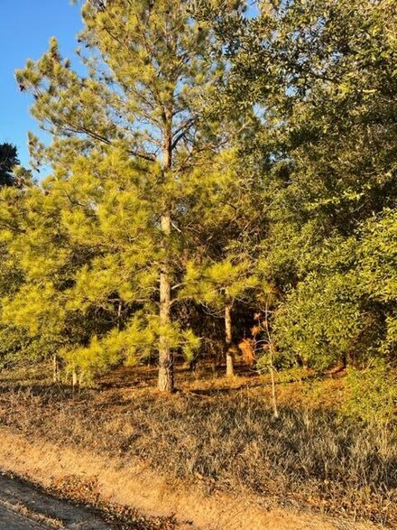 TBD Sparkman Road - Tract #3, Manning, SC 29102