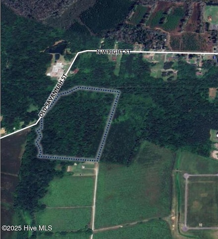0001 Old Savannah Rd S, Burgaw, NC 28425