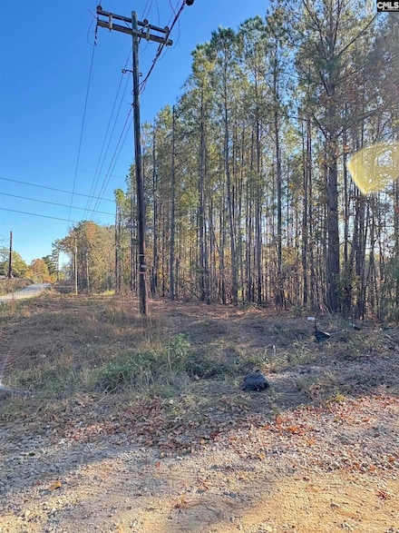 1236 Crane Church Rd, Columbia, SC 29203