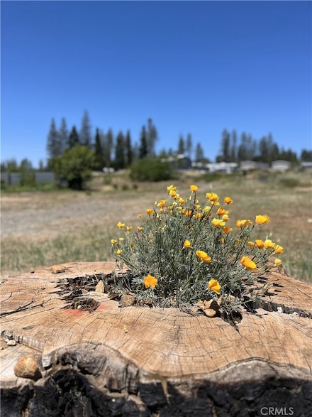 1749 Whitaker Rd, Paradise, CA 95969
