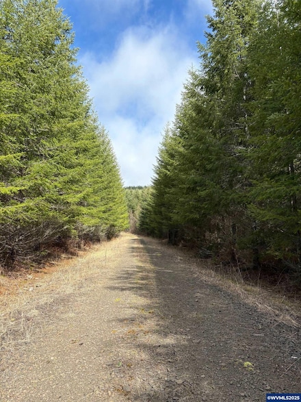 0 Boiler Creek Rd, Marcola, OR 97478
