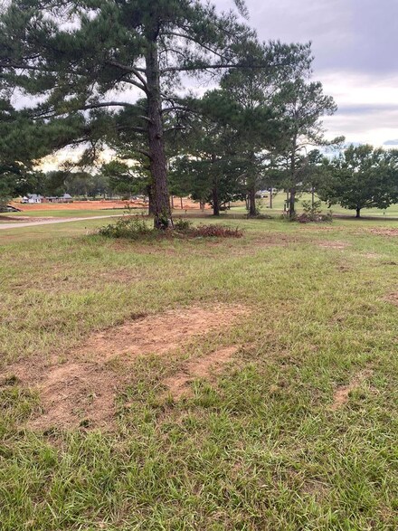 5 River Ridge Dr, Hawkinsville, GA 31036