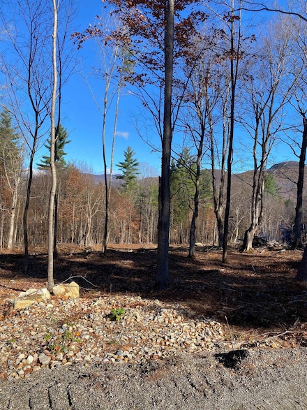 lot A Forest Pond Rd, Dorset, VT 05251