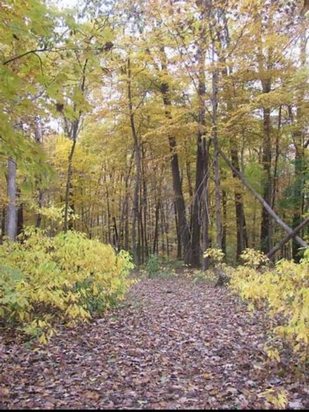 97ac Fritz Rd, Verona, WI 53593