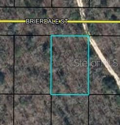 Lot 6 Brierdale St, Chipley, FL 32428