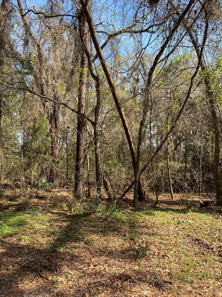 3 and M3 Big Oak Rd, Riceboro, GA 31323