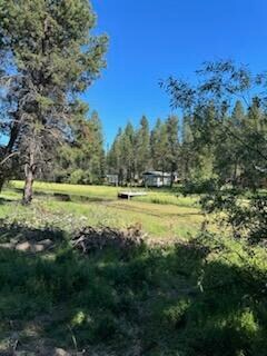 17145 Pasadena Rd, Three Rivers, OR 97707