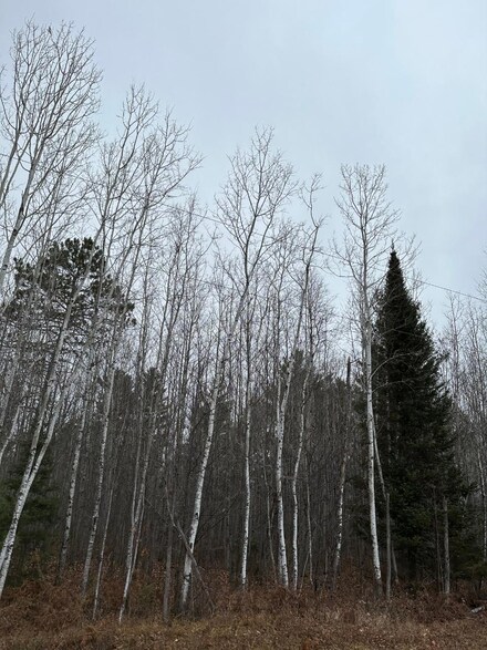 ON Burrows Lake Rd Unit 4067-D, Tomahawk, WI 54487