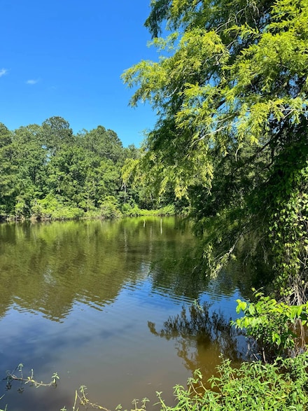 0 White Perch Ln Unit 2 11471825, Zwolle, LA 71486