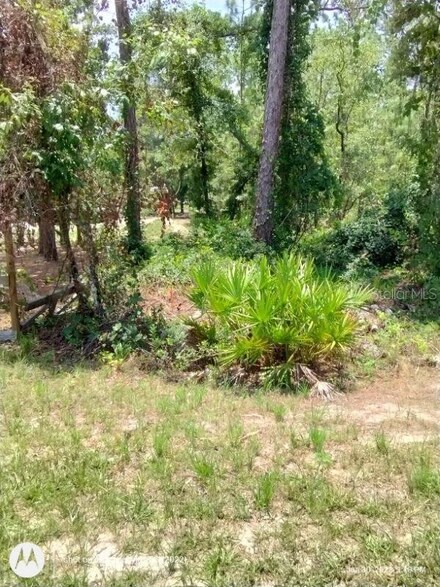 13342 Schick Ave, Weeki Wachee, FL 34614