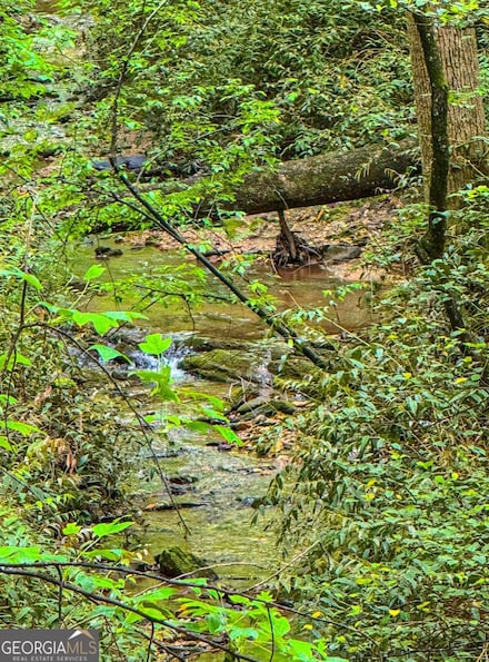 00 LOT C Cavender Creek Rd, Dahlonega, GA 30533