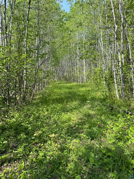 XX Fors Rd, Silver Creek Township, MN 55616