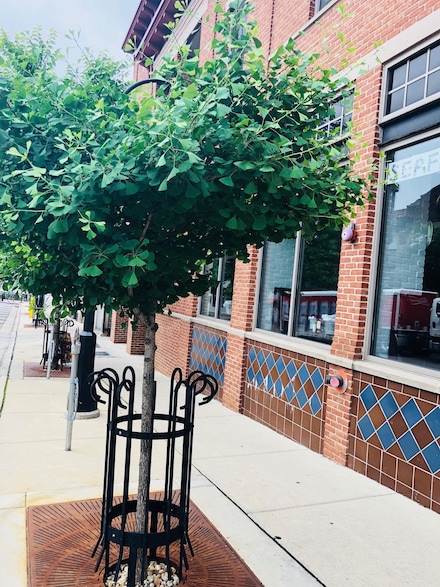 322 N Henry St Unit 204, Madison, WI 53703