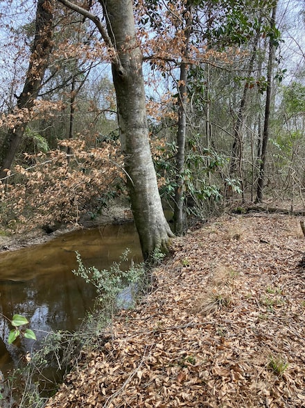 0 Graves Keys Rd, Bassfield, MS 39421