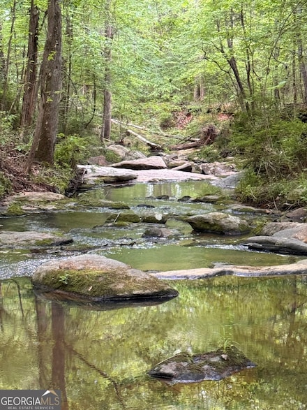 449 Old Indian Springs Rd, Forsyth, GA 31029