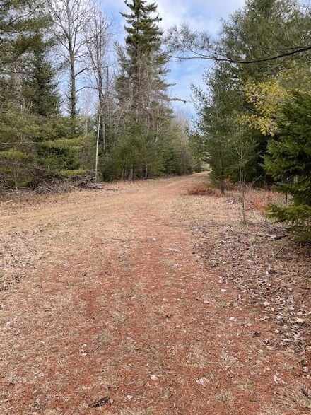 PARCEL B Abby Ln, Ossineke, MI 49766