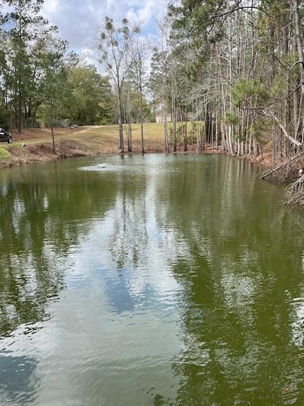 909 Cox Ave, Bainbridge, GA 39819
