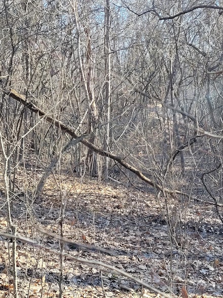 0 Unit 5 Block 3 Lots 9 10, Corinth, KY 41010
