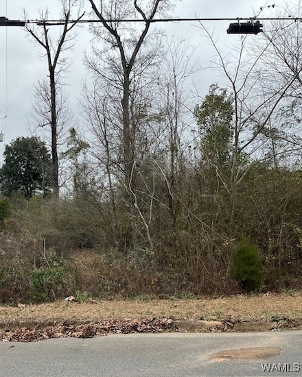 0 34th Ave E, Tuscaloosa, AL 35404