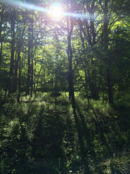 4 Hideaway Trail, Slaty Fork, WV 26291