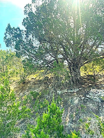 20001 Calhoun Ave, Leander, TX 78645