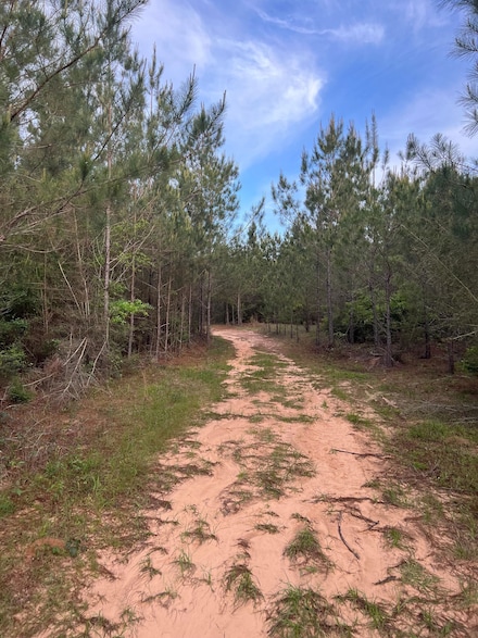 County Road 230, Heidelberg, MS 39439