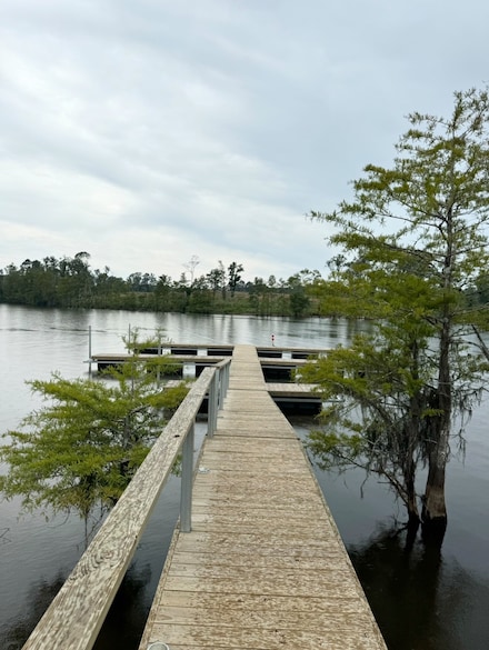 65 Quiet Cove Rd, Florien, LA 71429