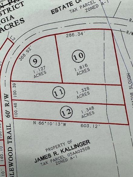 Lot # 11 Tanglewood Trail Subdividion, Georgetown, GA 39854