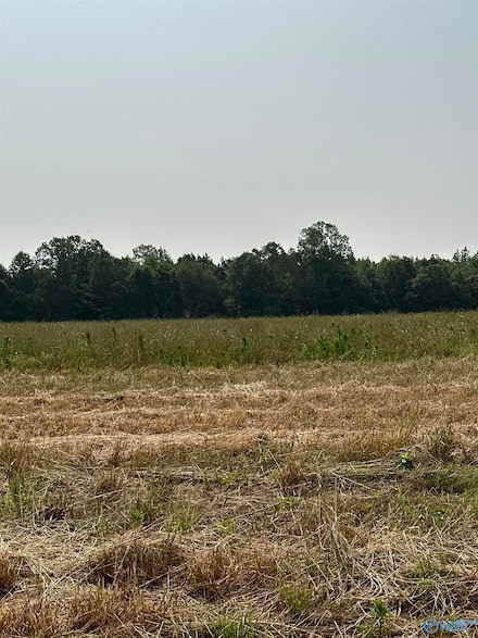 Tract 33 Hays Mill Rd, Elkmont, AL 35620