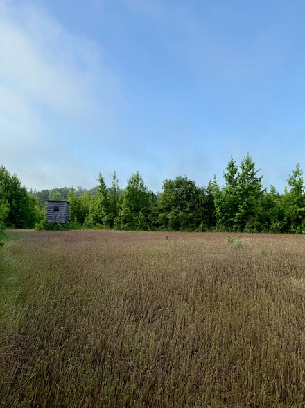 0 Vowell Rd, McCool, MS 39108