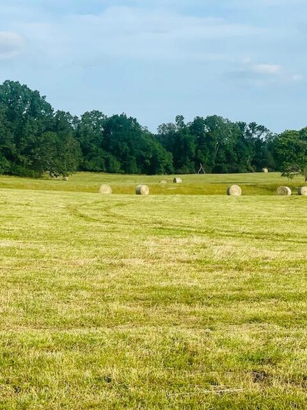 Xx Ponderosa Rd, Pineville South Township, MO 64856