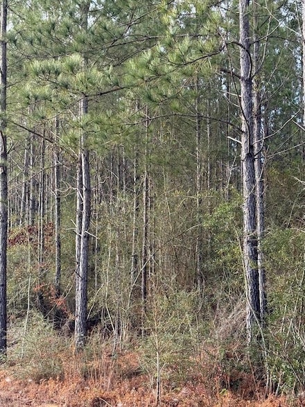 436 Glenwood Dr, Carriere, MS 39426