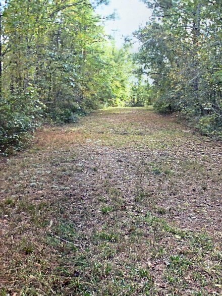0 Off Mill Creek Unit 100192254, Pollocksville, NC 28573