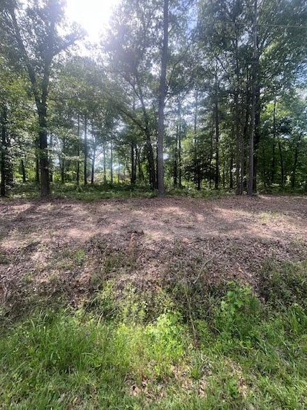 2020 Barnwell Dr, Stateburg, SC 29154