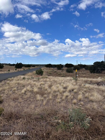 155 Cinder Dr (Cr 5101), Concho, AZ 85924