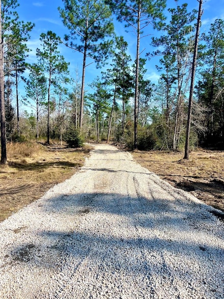 158 Sandy Loop, Merryville, LA 70653