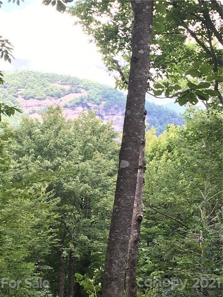 26 Meadow Ridge Rd Unit 26, Lake Toxaway, NC 28747