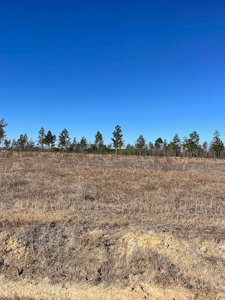 2750 Scarbrough Dr, Loris, SC 29569