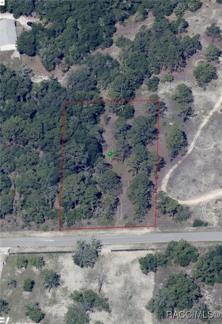 11812 N Belluzzi Terrace, Dunnellon, FL 34433