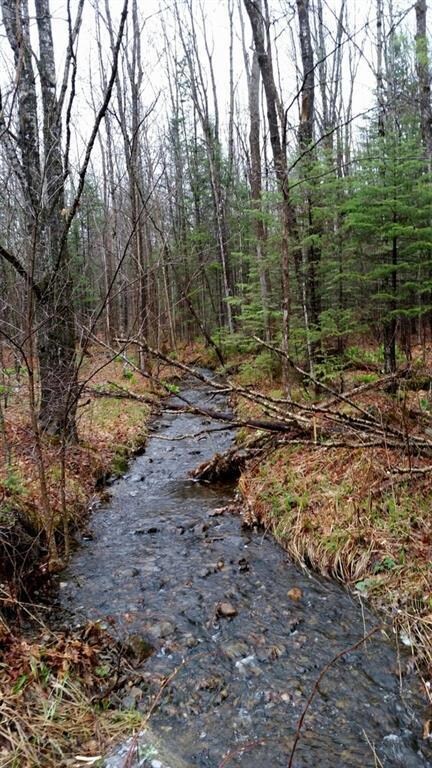 TBD Staples Pond Rd, Temple, ME 04984