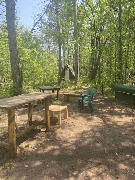 3185 Pine Ridge St, Greenwood Township, MI 49756